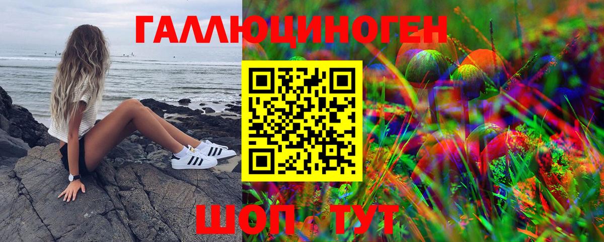 Псилоцибиновые грибы GOLDEN TEACHER Ярцево
